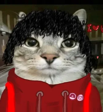 Ander — gatito con peluca y buzo rojo